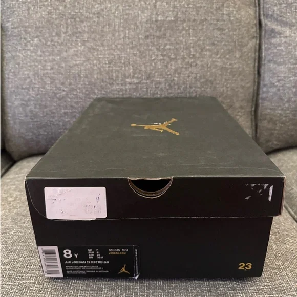 Jordan 12 Kids Sneakers White and Pink